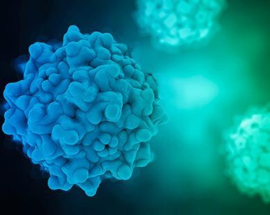 Vector virus liên quan đến adenovirus