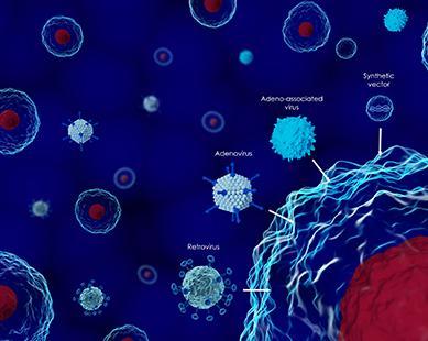 Vector không virus