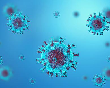 Vector virus HIV