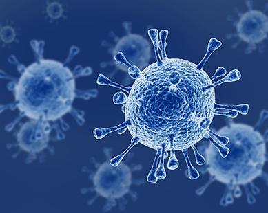 Virus adenovirus (ADV)