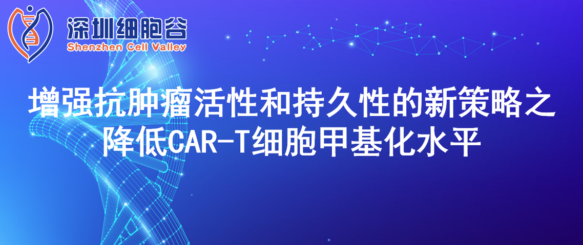 Chiến lược mới để tăng cường hoạt tính chống khối u và tính bền vững bằng cách giảm mức độ methyl hóa tế bào T-CAR