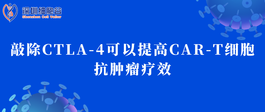 Việc loại bỏ CTLA-4 có thể nâng cao hiệu quả điều trị khối u của tế bào T-CAR