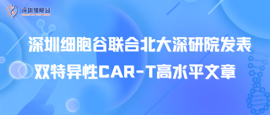 Tin vuiShenzhen Cell Valley hợp tác với Viện Nghiên cứu Bắc Đại học Thâm Quyến công bố bài viết cao cấp về CAR-T hai đặc điểm