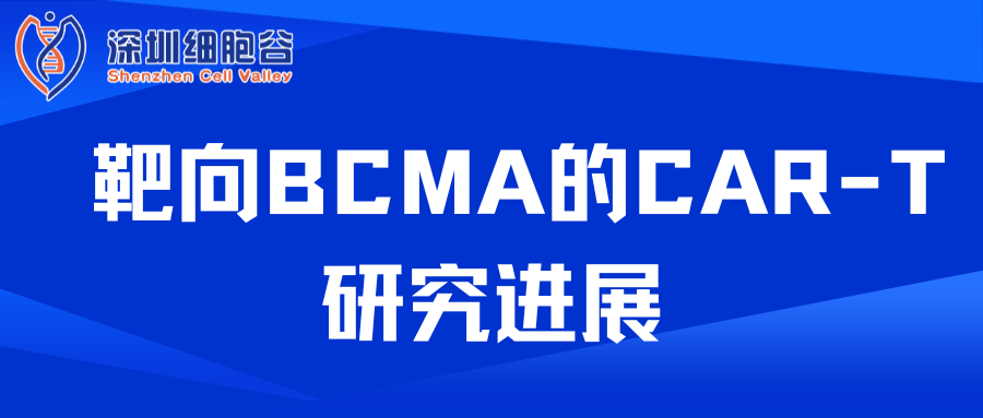 Tiến bộ trong nghiên cứu CAR-T nhắm vào BCMA