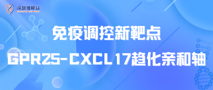 Mục tiêu điều hòa miễn dịch mới: Trục hóa chất thu hút GPR25-CXCL17