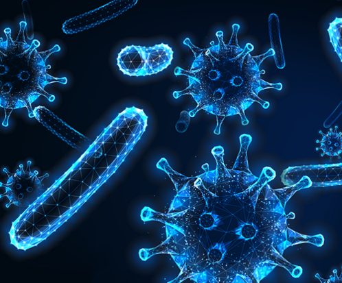 Vector biểu hiện gene động vật có vú