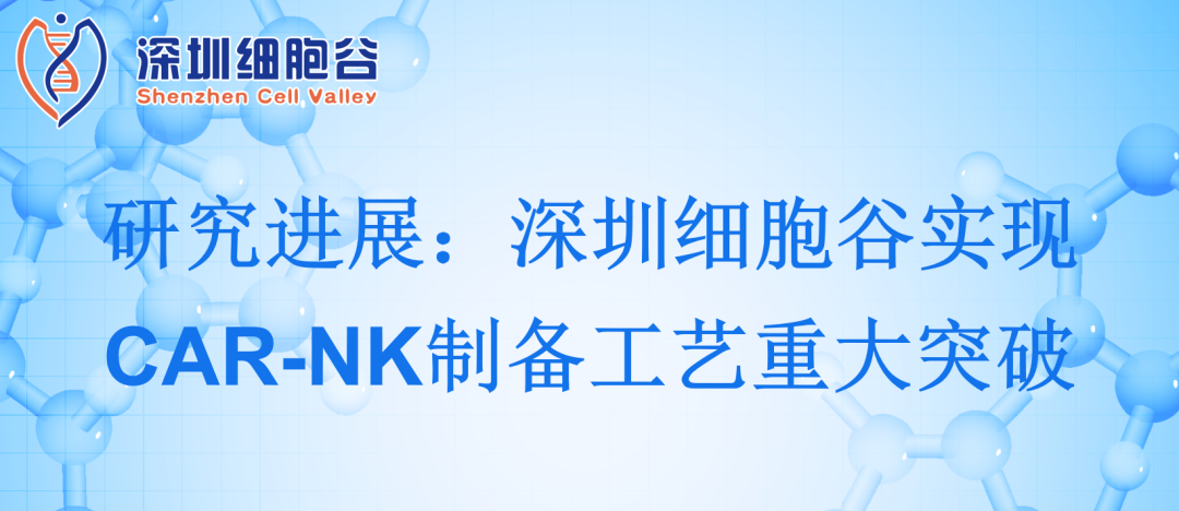 Cell Valley Thâm Quyến đạt được bước đột phá quan trọng trong quy trình sản xuất tế bào CAR-NK