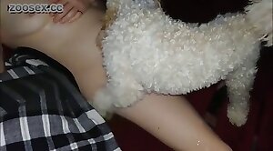 wonderful,beastiality